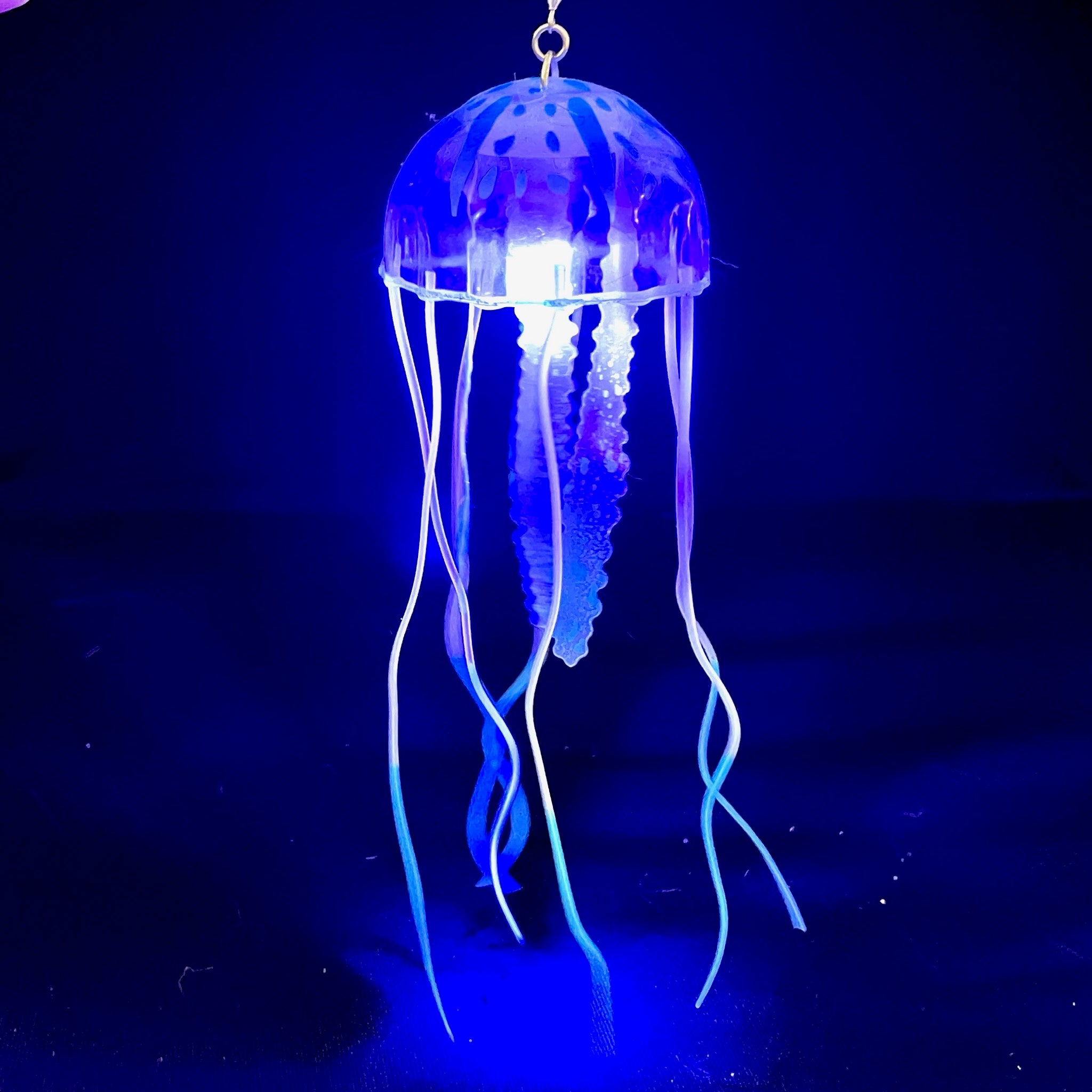Moon Jellyfish | Jellyfish, Pink moon, Habitats